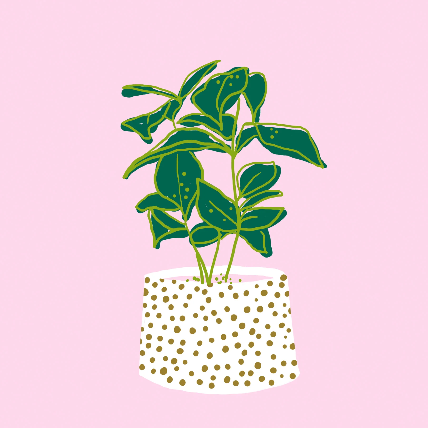 Amano_Planter2.jpg