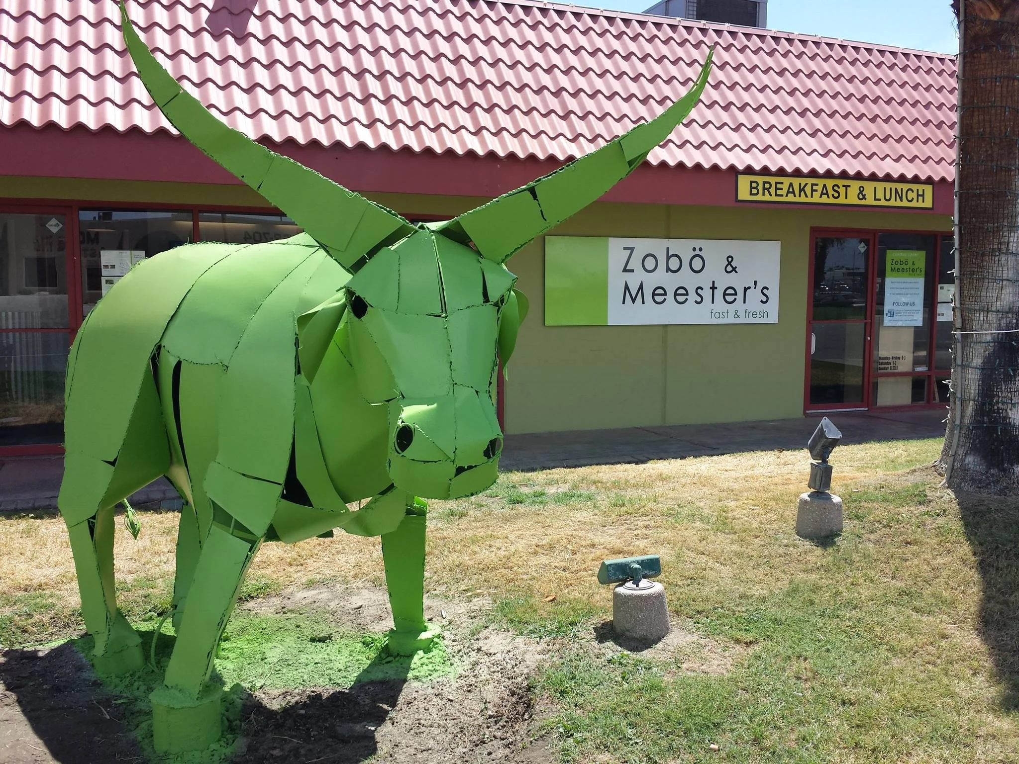 The Bull