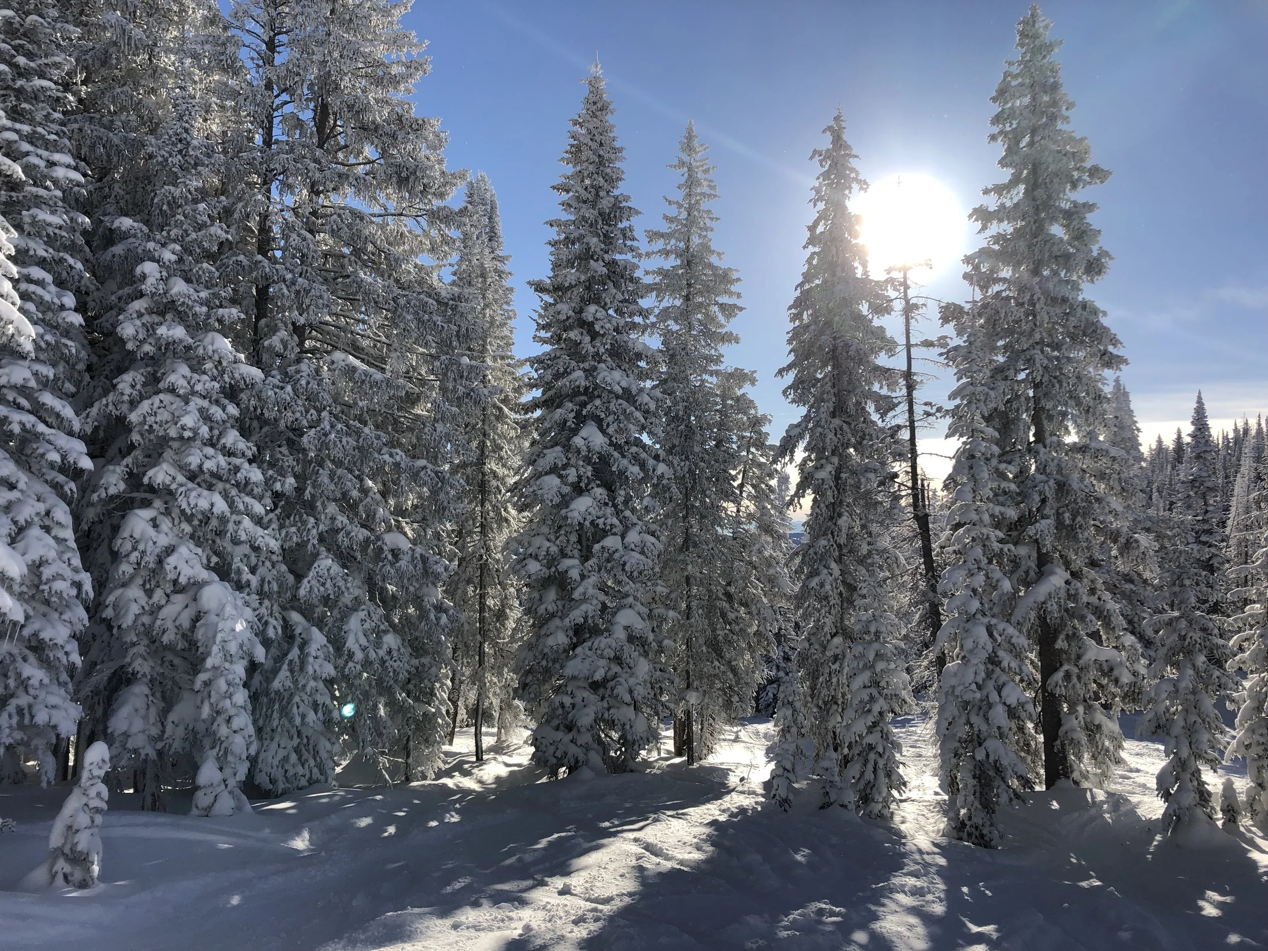 Steamboat Springs, Colorado