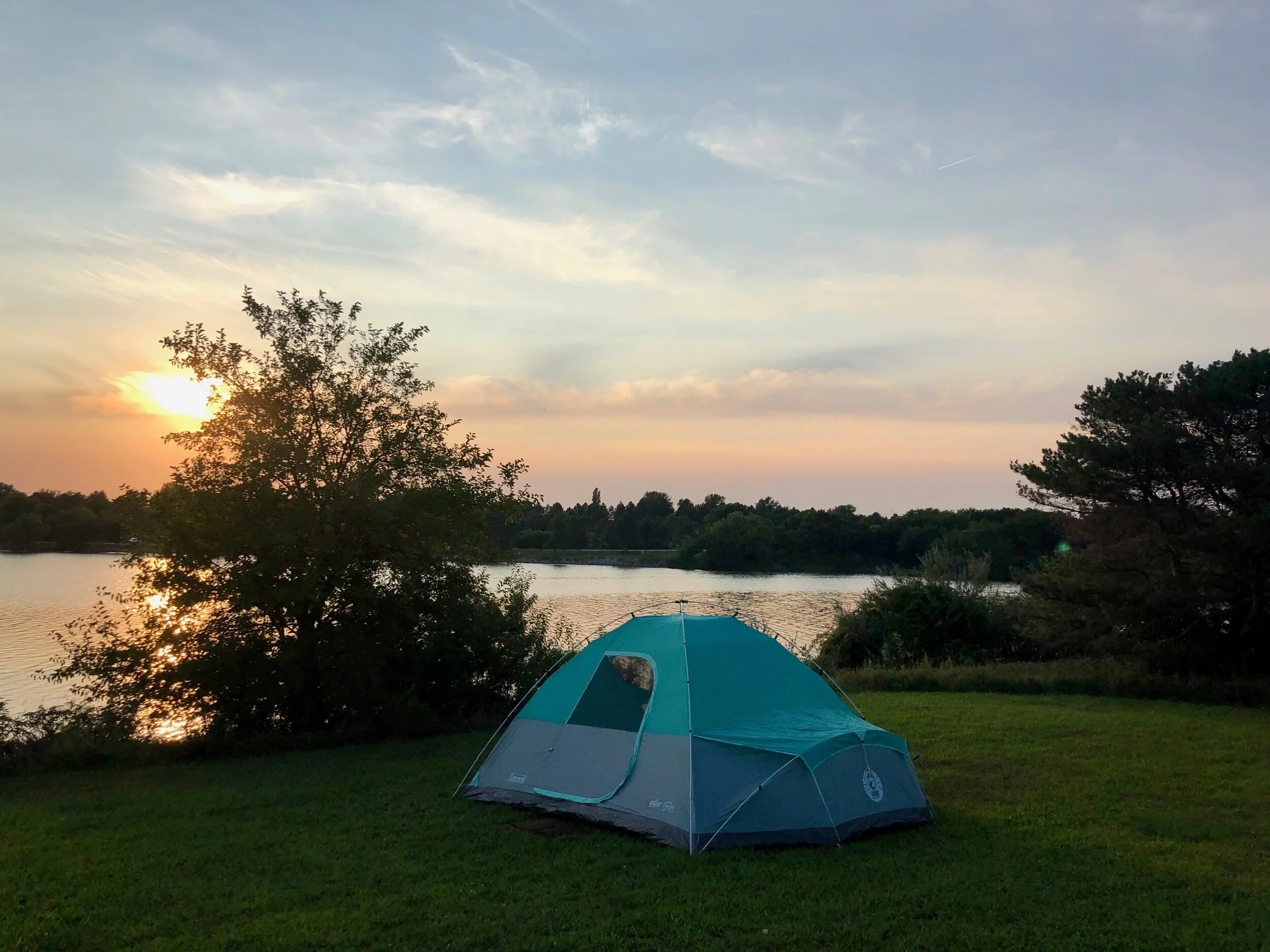 Camping Branched Oak
