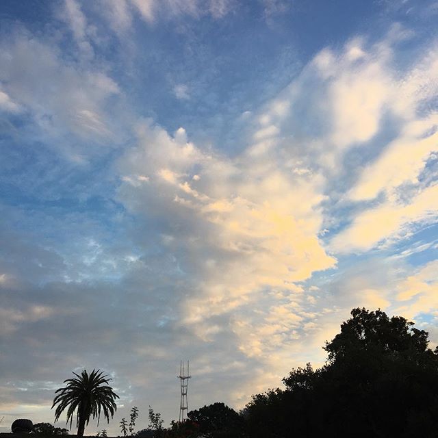 Goodbye 2017 #goldengatepark #sunset #2017
