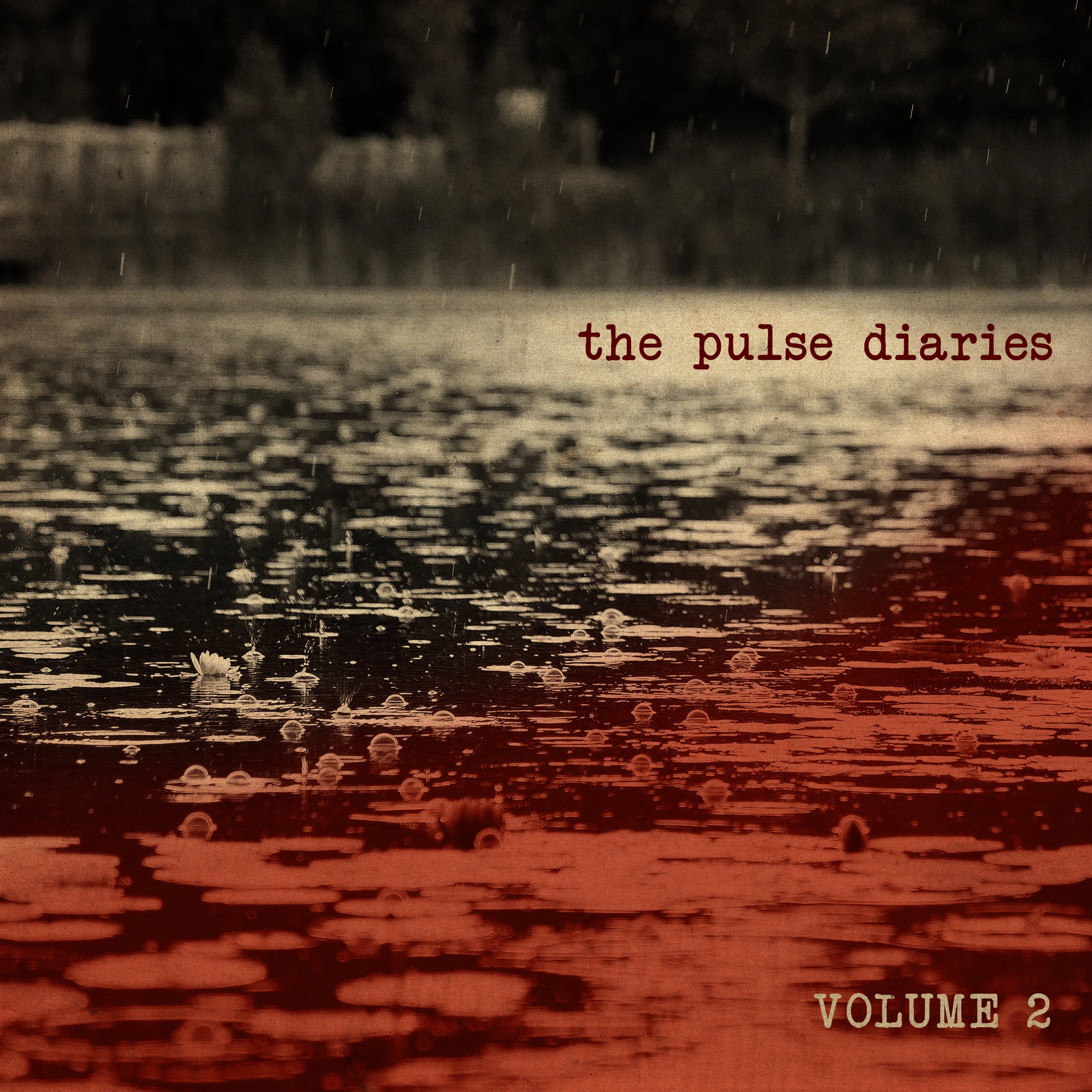 TPD_vol2_AlbumArt_015.jpg