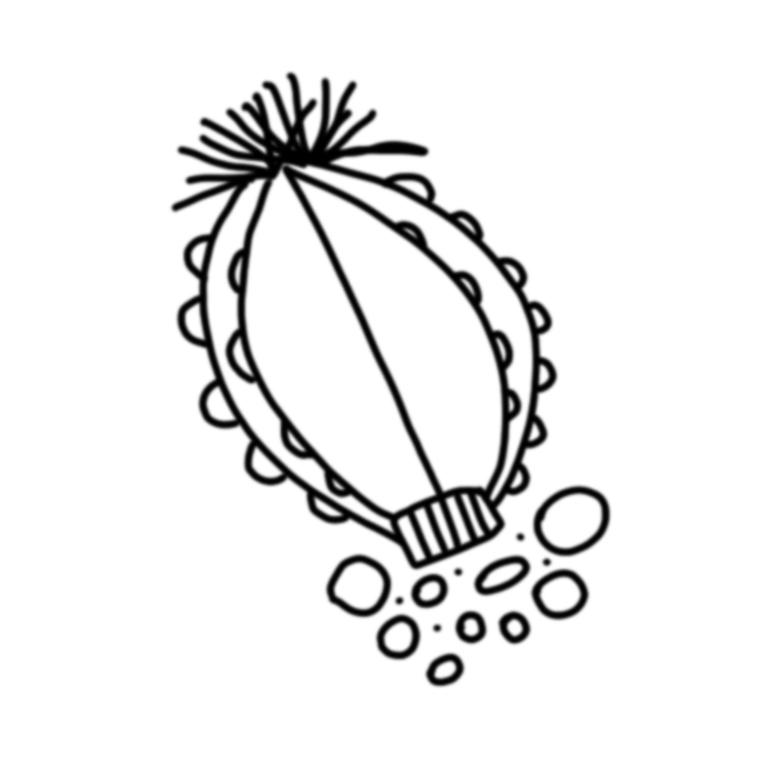 seaurchin icon