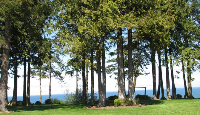 Eden by the Sea B&B, Port Angeles, WA