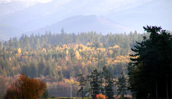 Eden by the Sea B&B, Port Angeles, WA