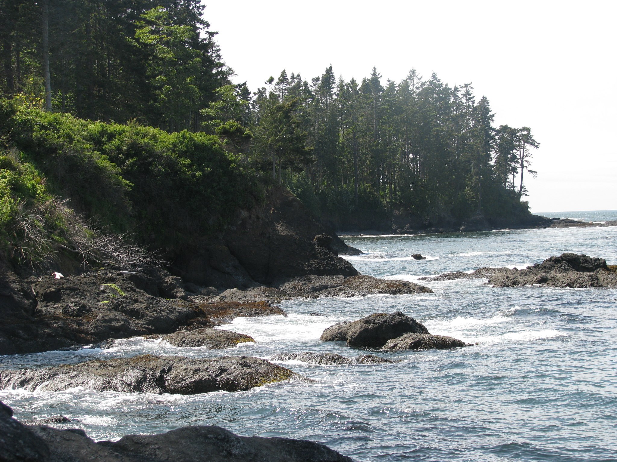 Salt Creek