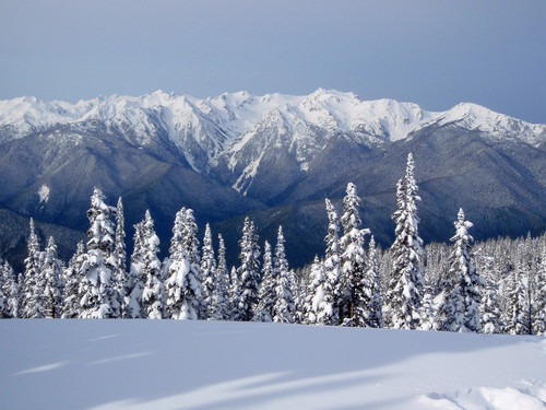  Hurricane Ridge 