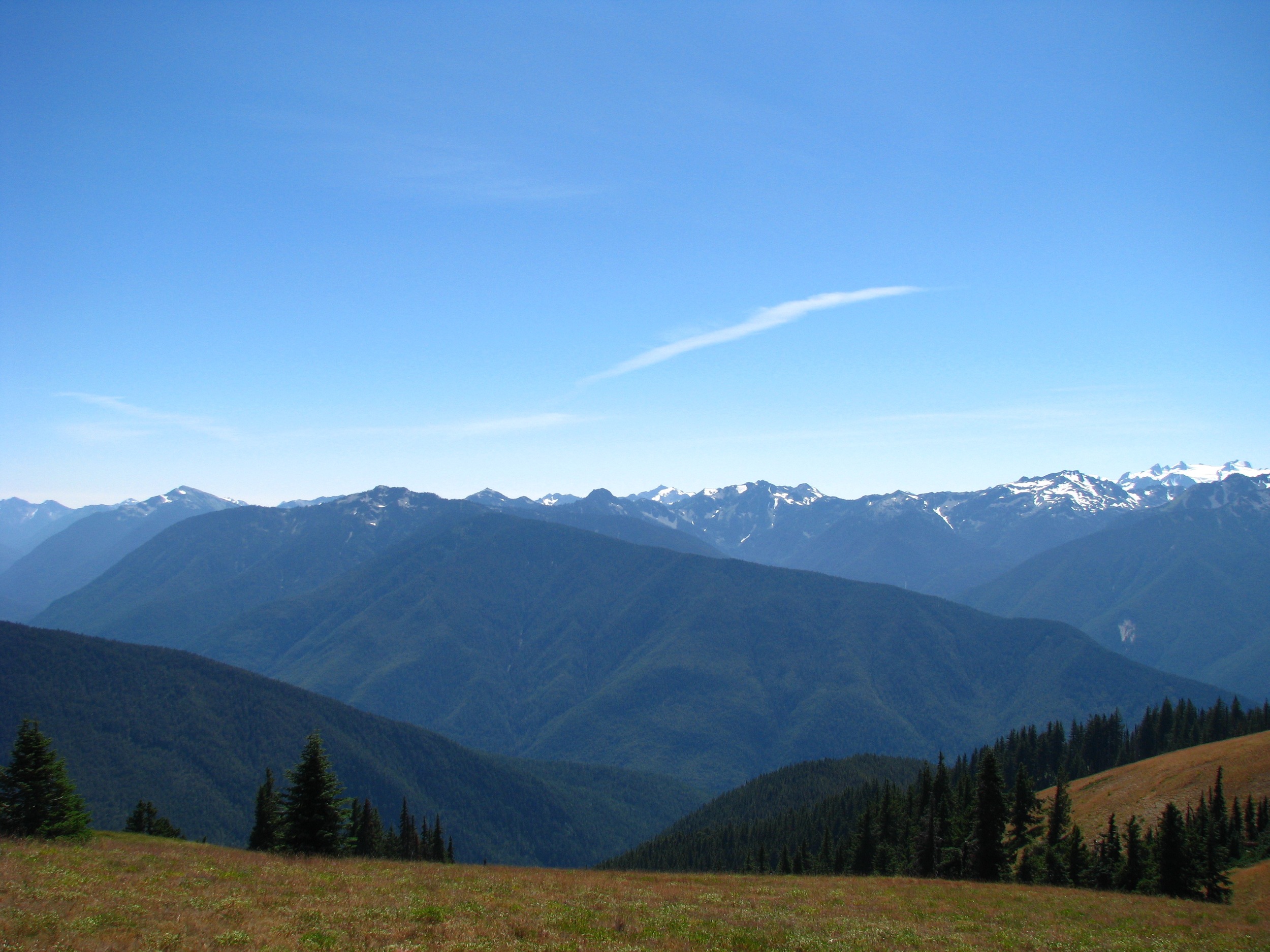  Hurricane Ridge 