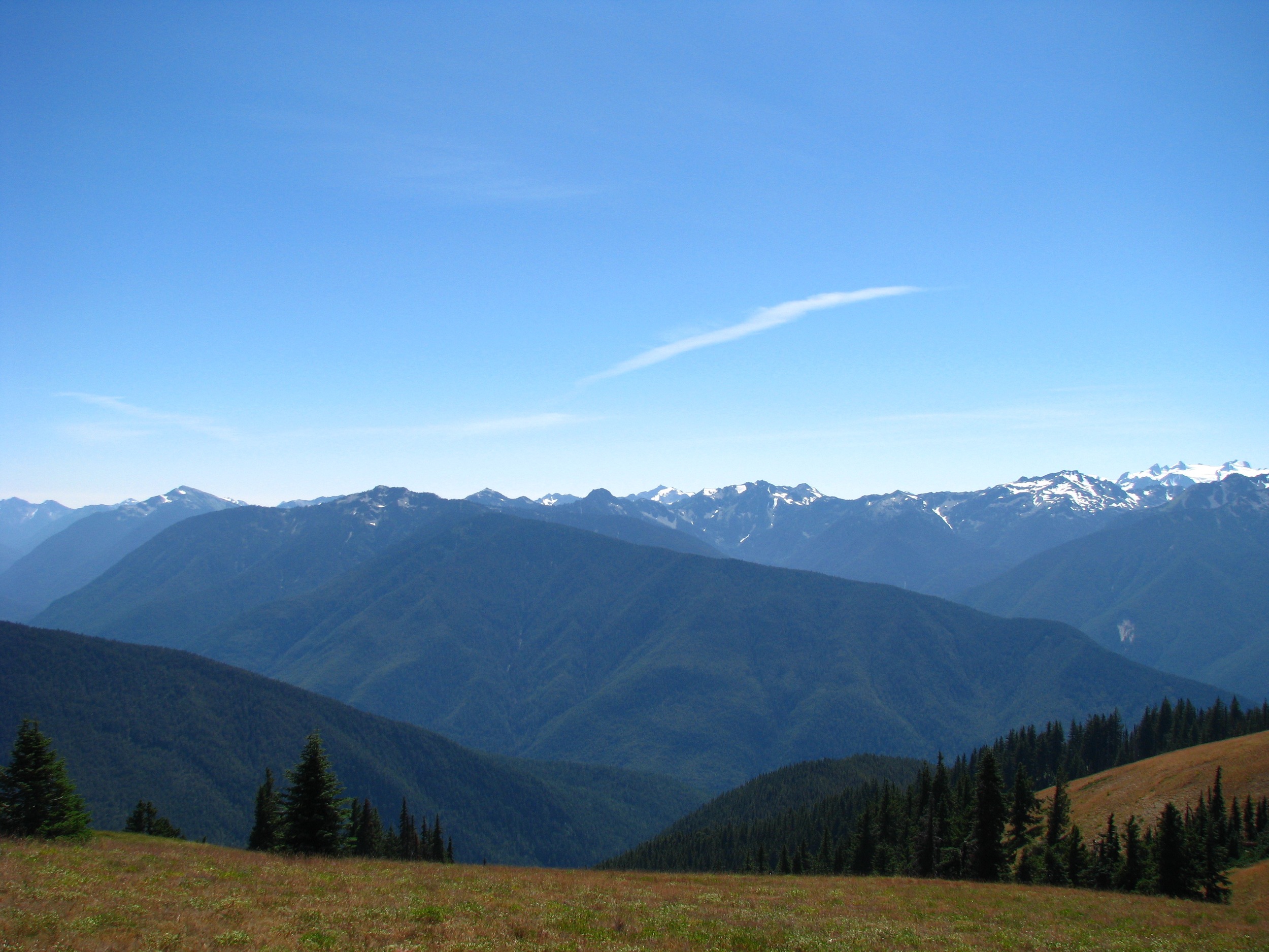 Hurricane Ridge