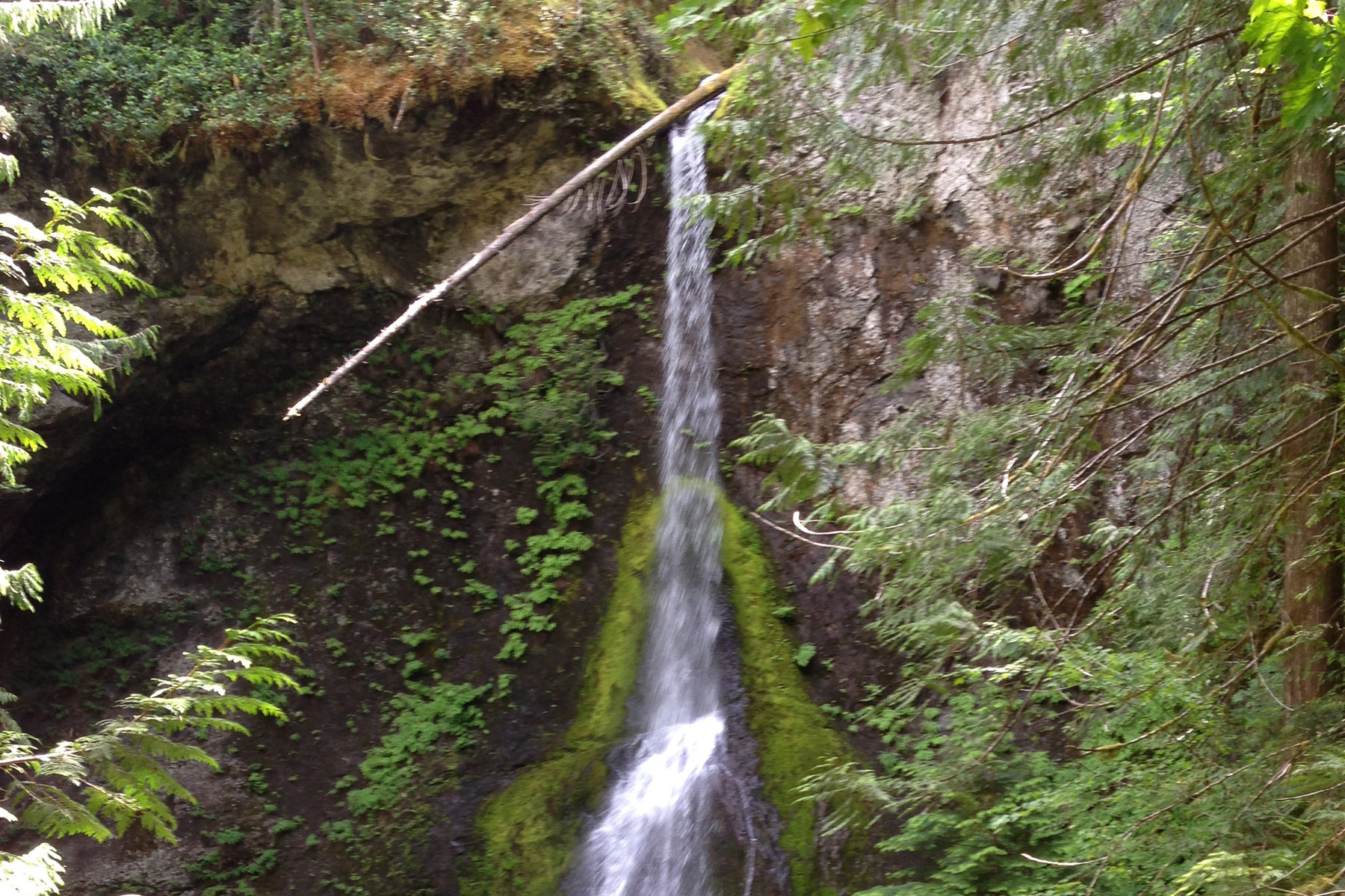  Marymere Falls 