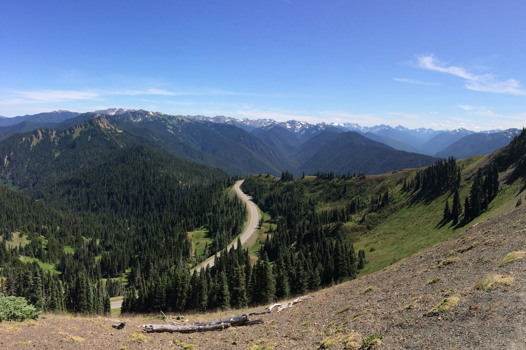 Hurricane Ridge