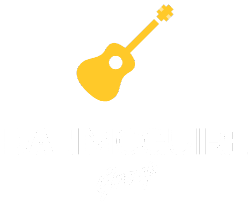 Dan Mcguire Group Band Music Dan Mcguire Group Frederick Md Bands Djs Photo Booths Events Weddings Maryland Washington D C Virginia