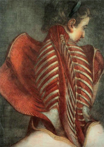 The Flayed Angel, Jacques Gautier-D’Agoty (1746)