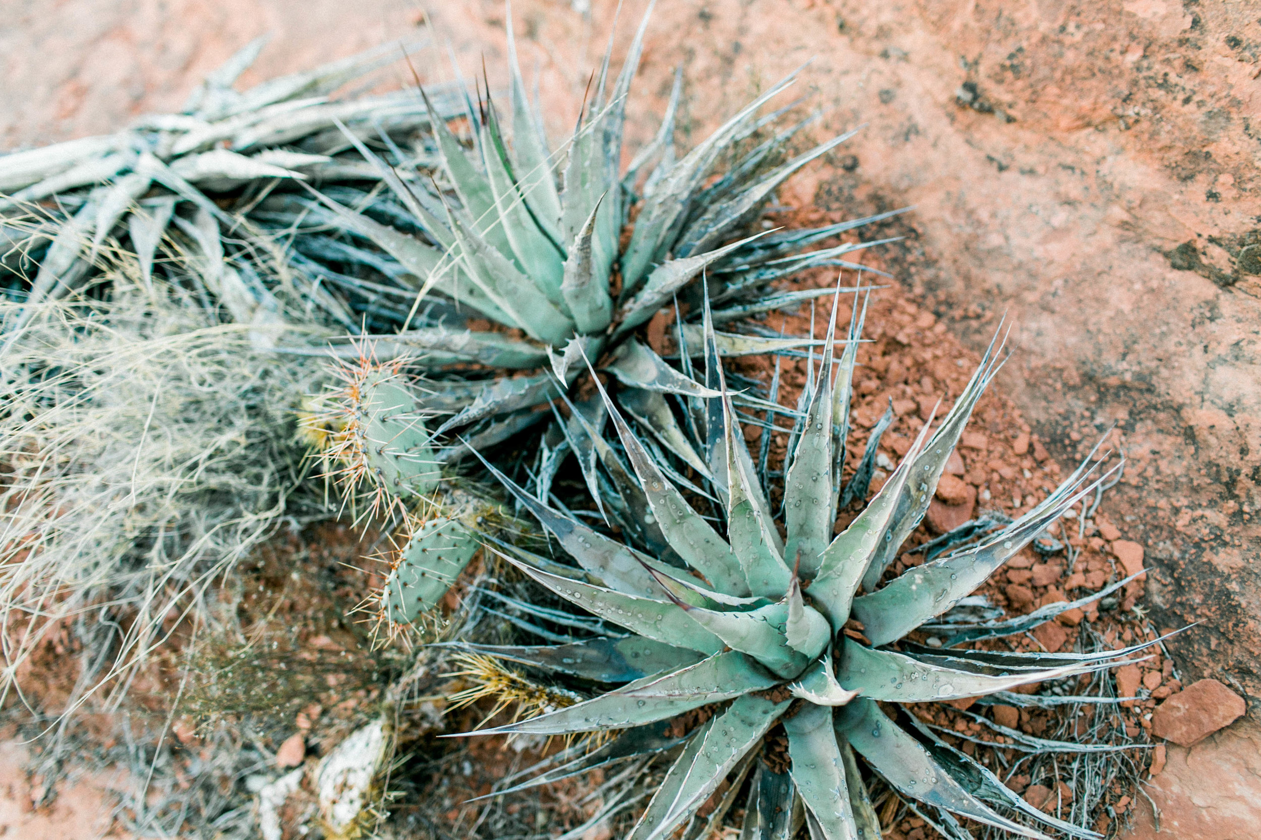 Sedona Adventure Wedding Photographer 049.jpg