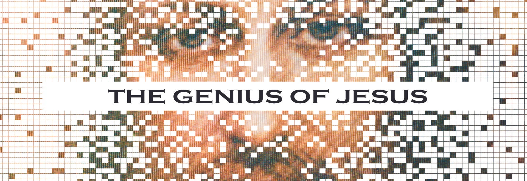 genius webbanner.jpg