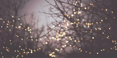 twinklelights.jpg