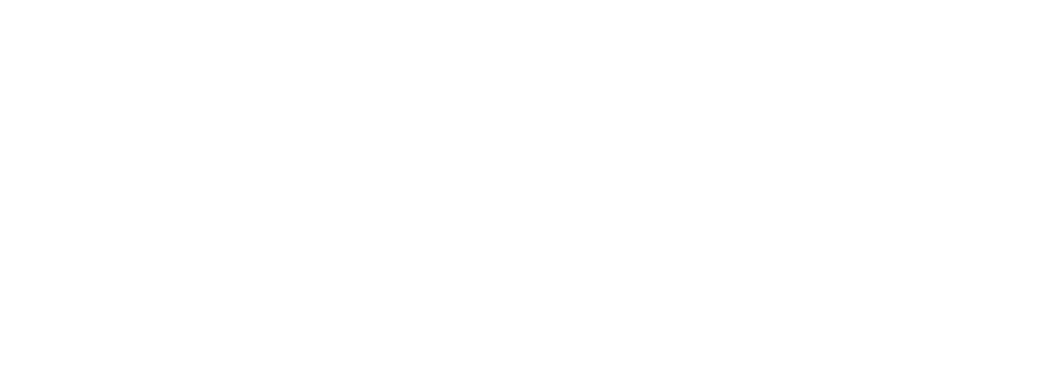 Ronin Productions