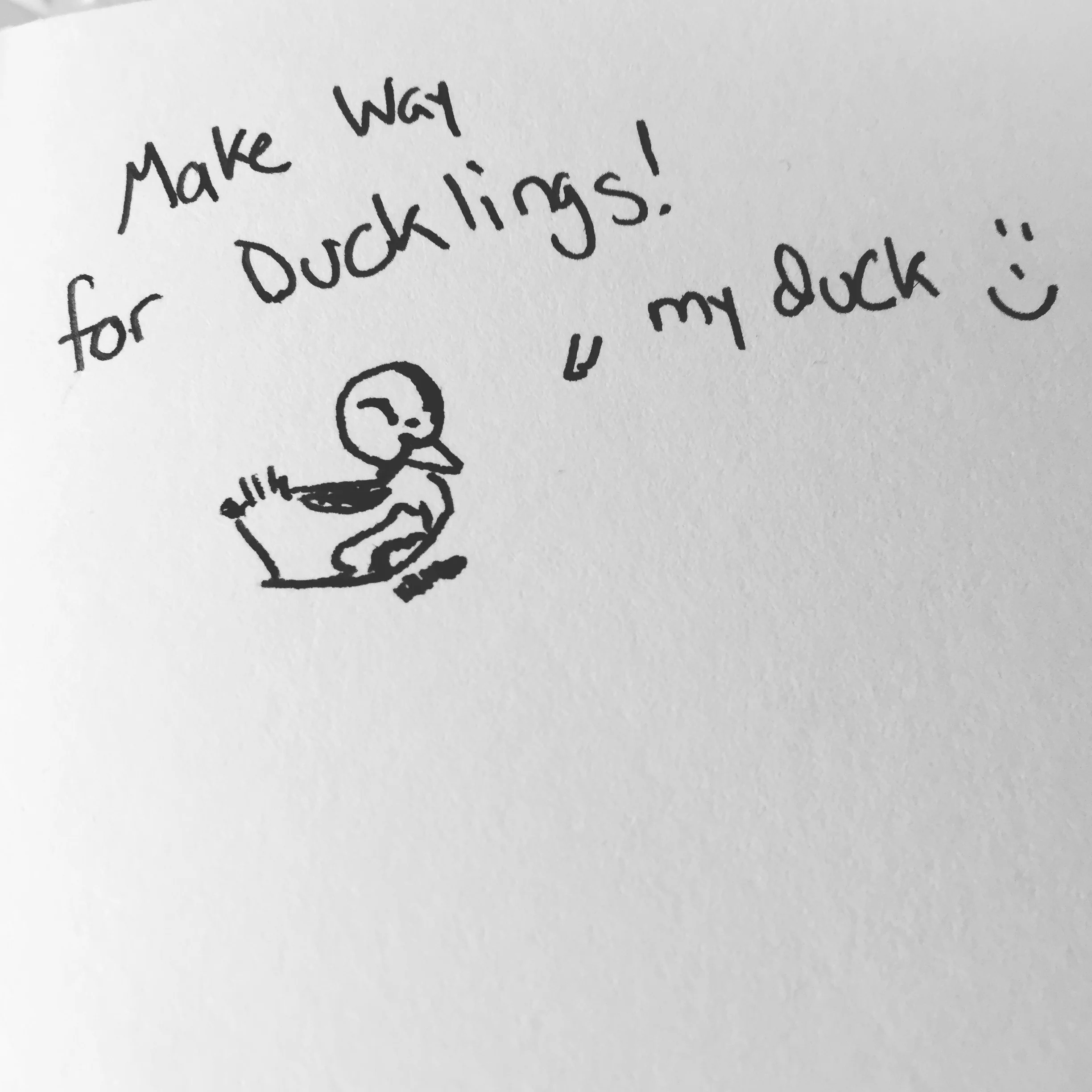 My Duckling sketch. 
