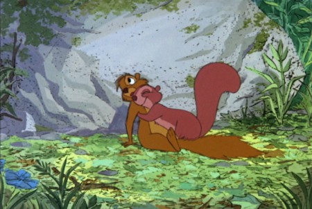 No, my squirrel is not this cute....