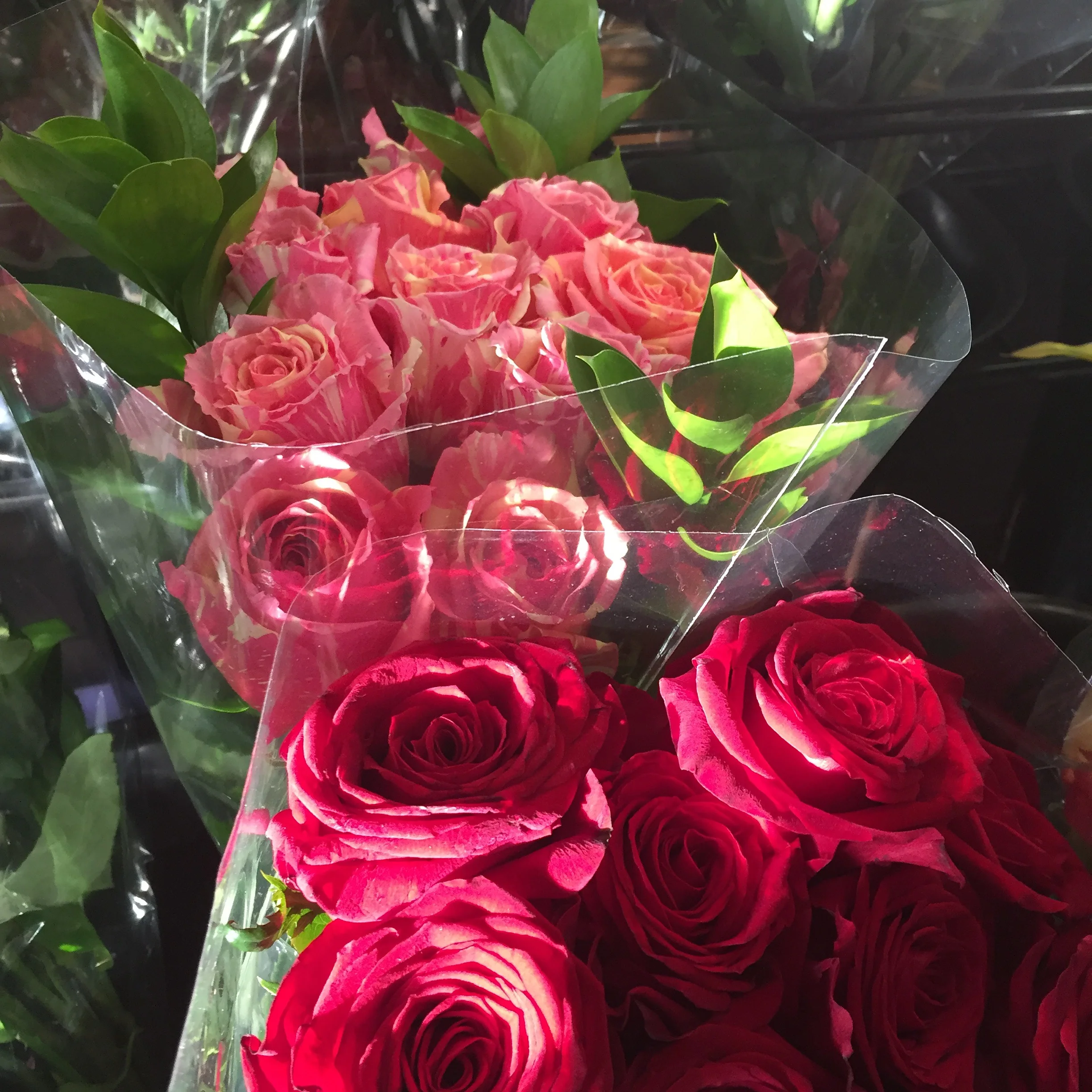 Look at those striped roses! These were in Santa Monica Seafood 