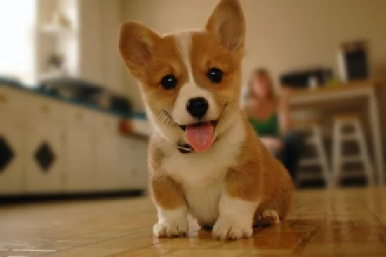 Seriously, who would get mad at this guy?