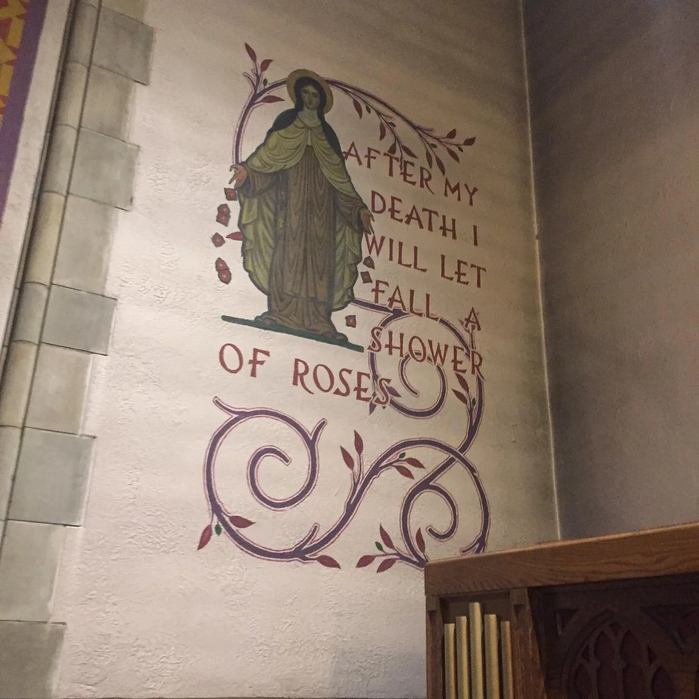 🌹🌹🌹🌹🌹🌹🌹