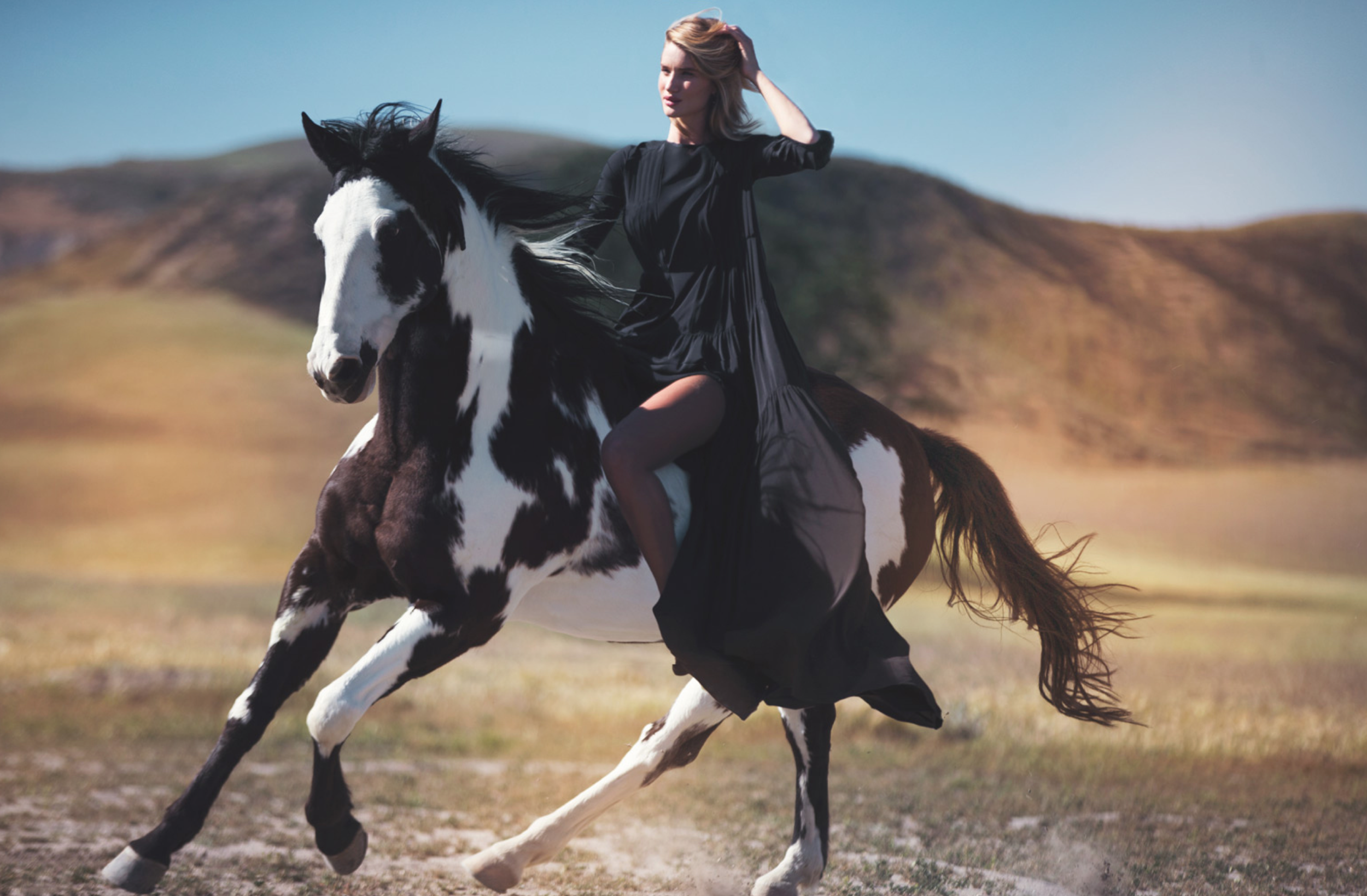 Photo: David Bellemere