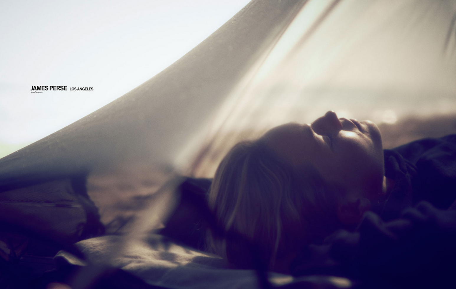 Photo: Steven Lippman