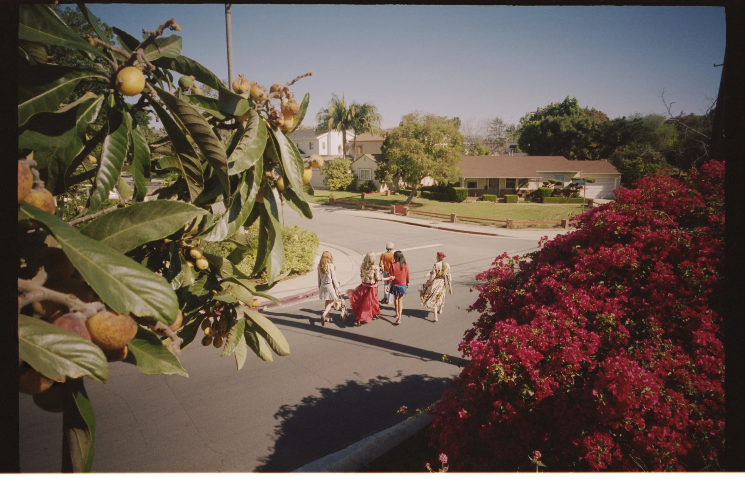 Photo: Tom Craig