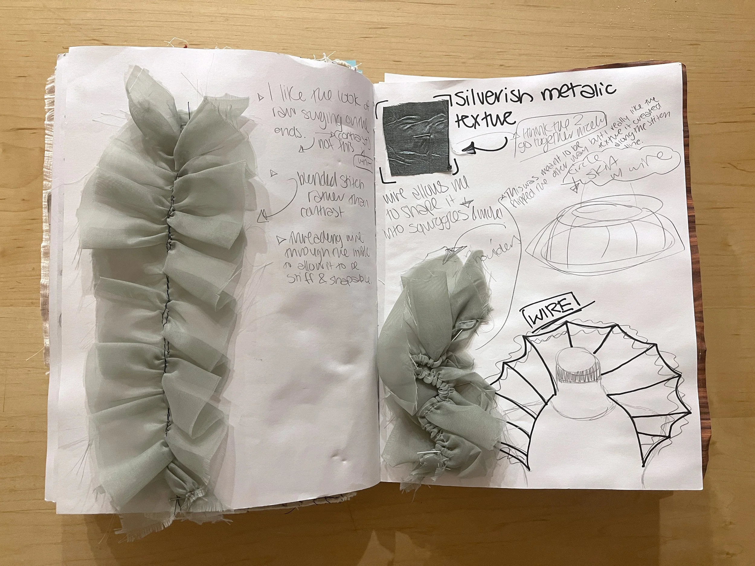 IMG_2913_jellyfish_sketch.JPG