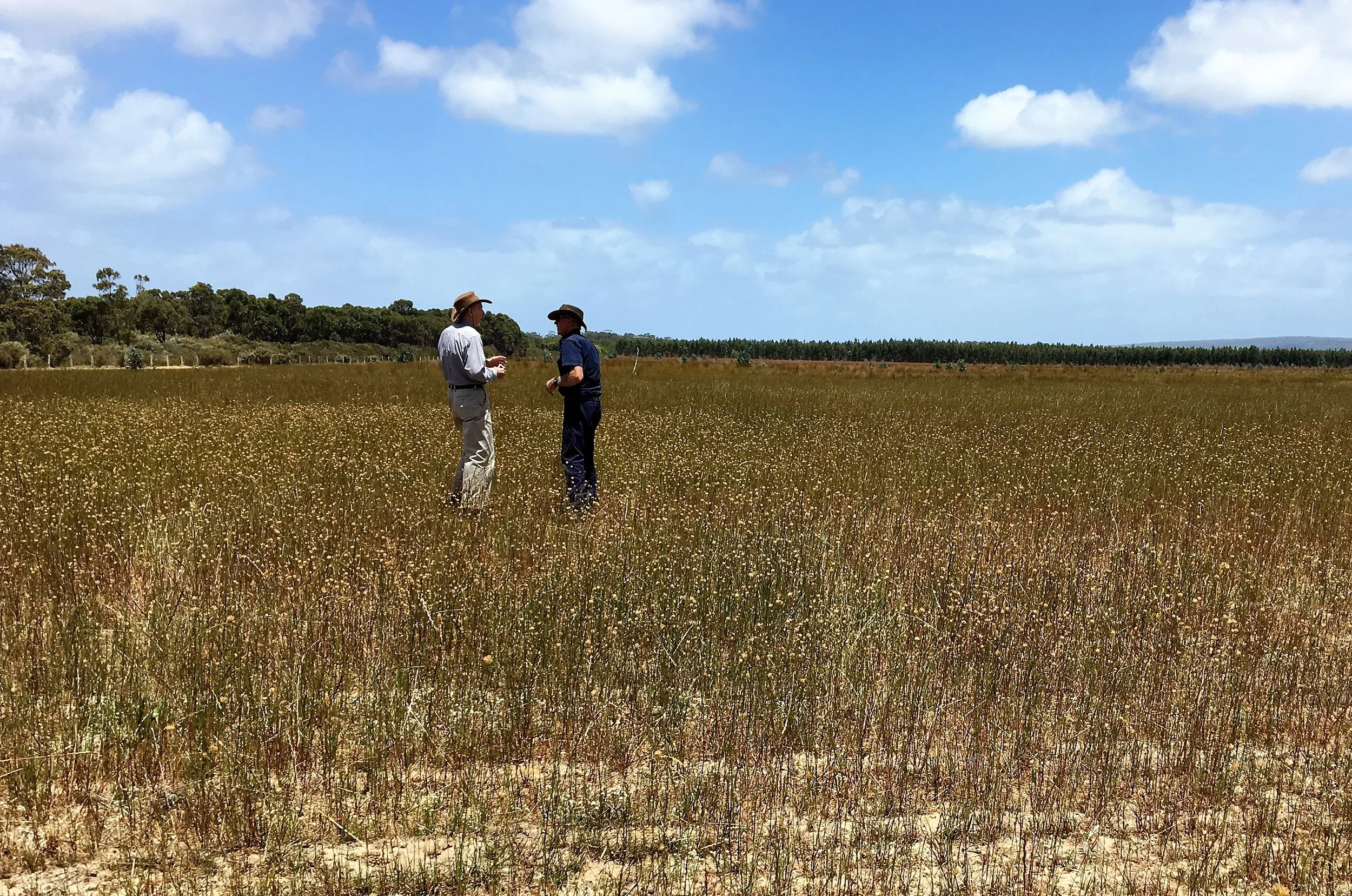 Field talk2.jpg