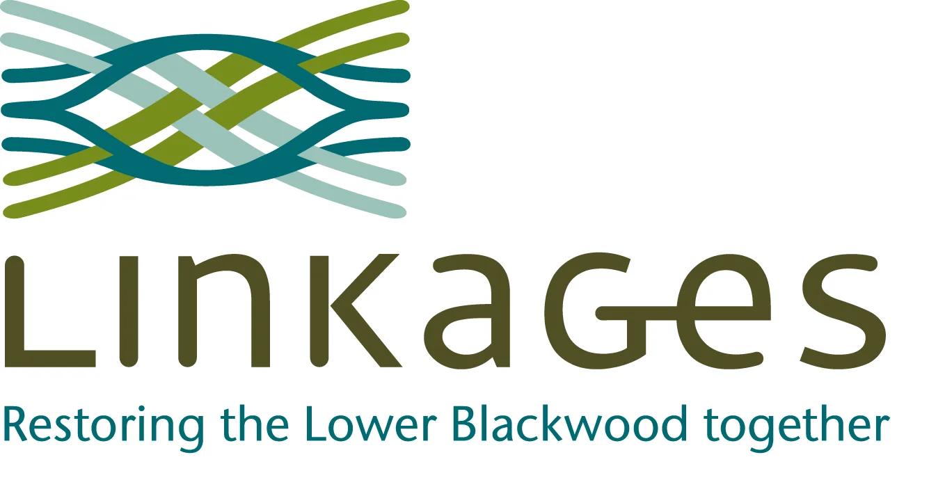 Linkages Logo.jpg