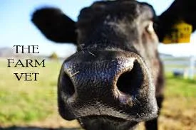 the farm vet.jpg