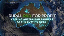 rural-rd-video.jpg
