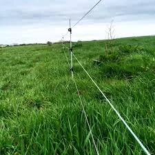 Temporary fencing 2.jpg