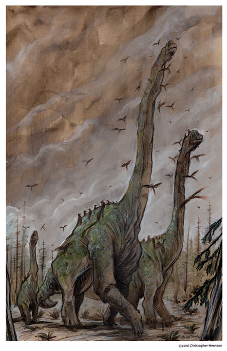 webBrachiosaurusherd11x17print.jpg