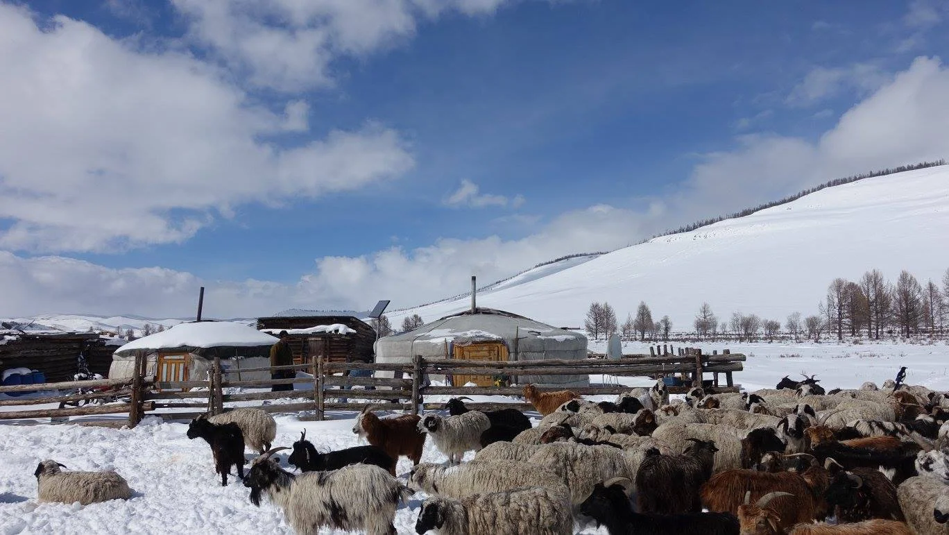 Sumiya's encampment spring.jpg