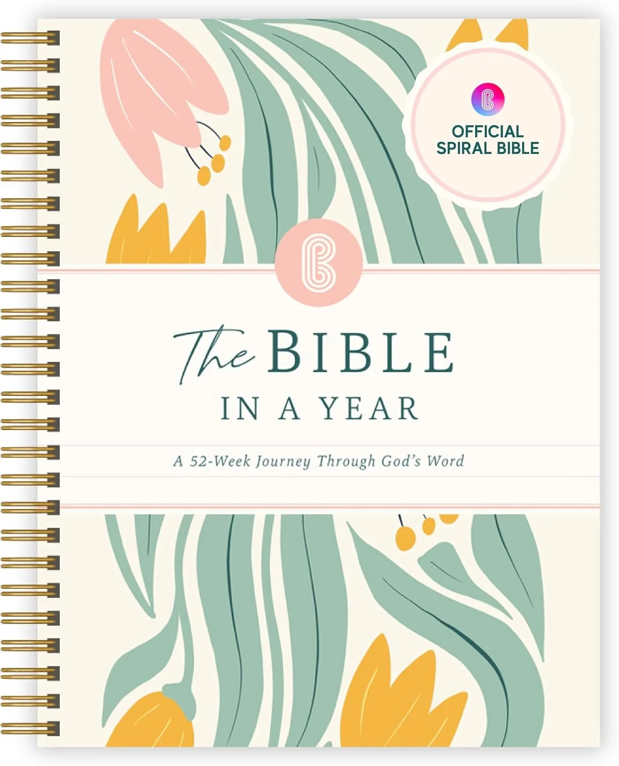bibleinayear.jpg