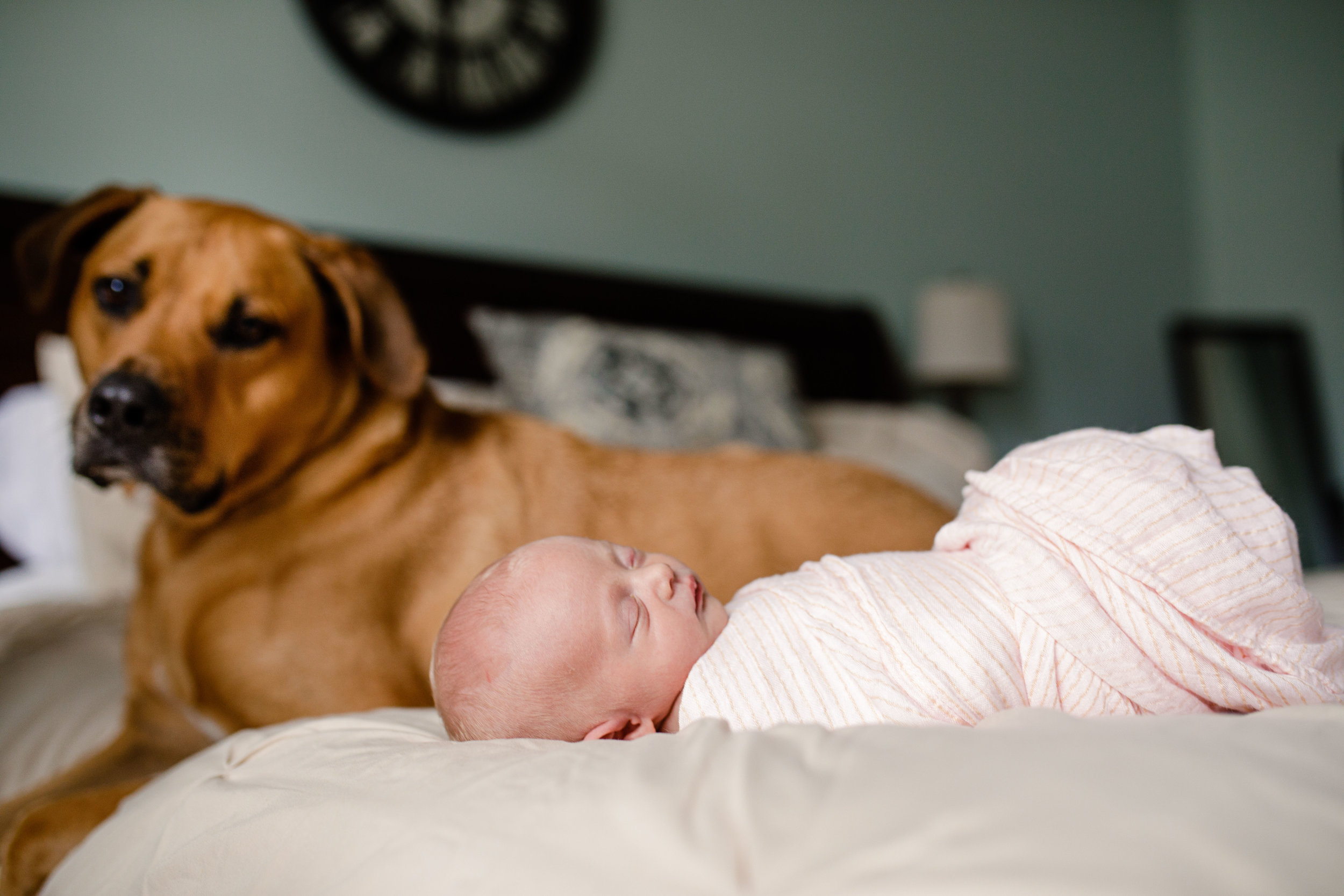 Jupiter Palm Beach Newborn Photography