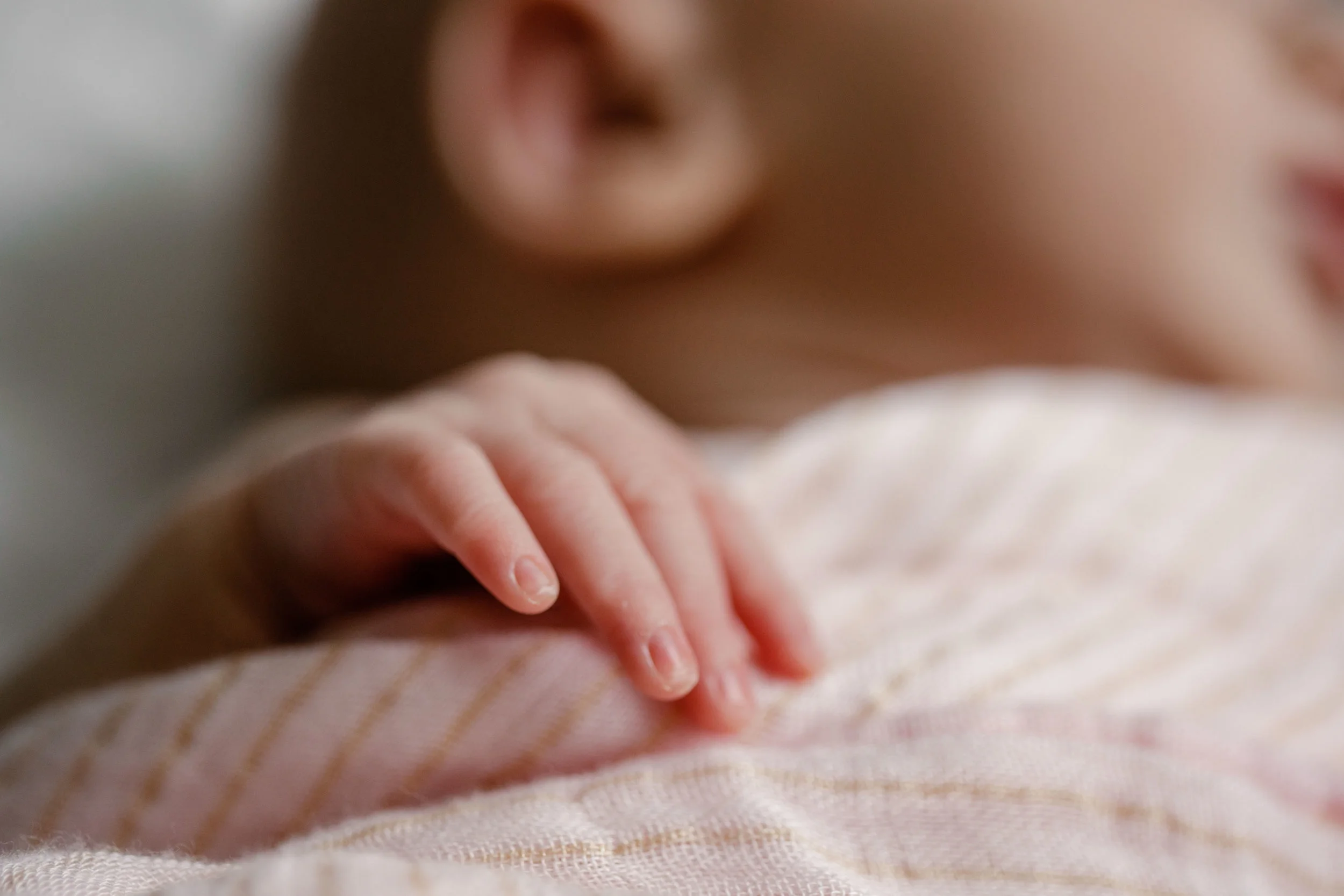 South Florida Newborn
