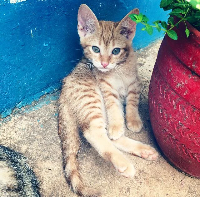 Cuba, April 2015
