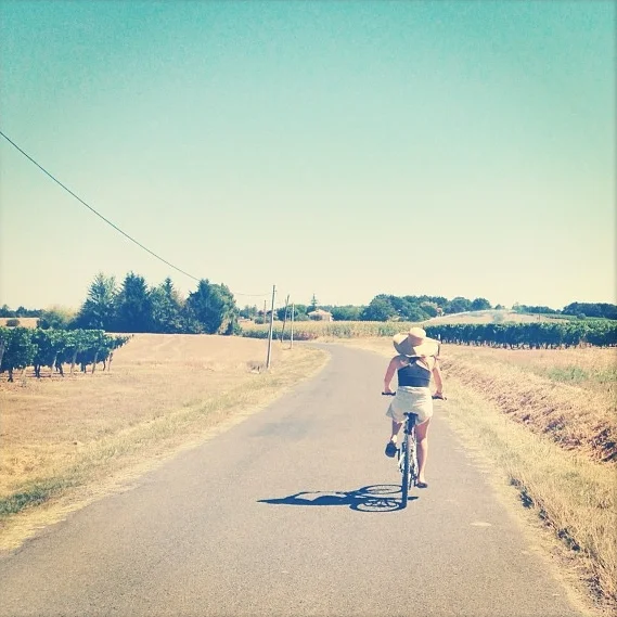South of France, August 2013
