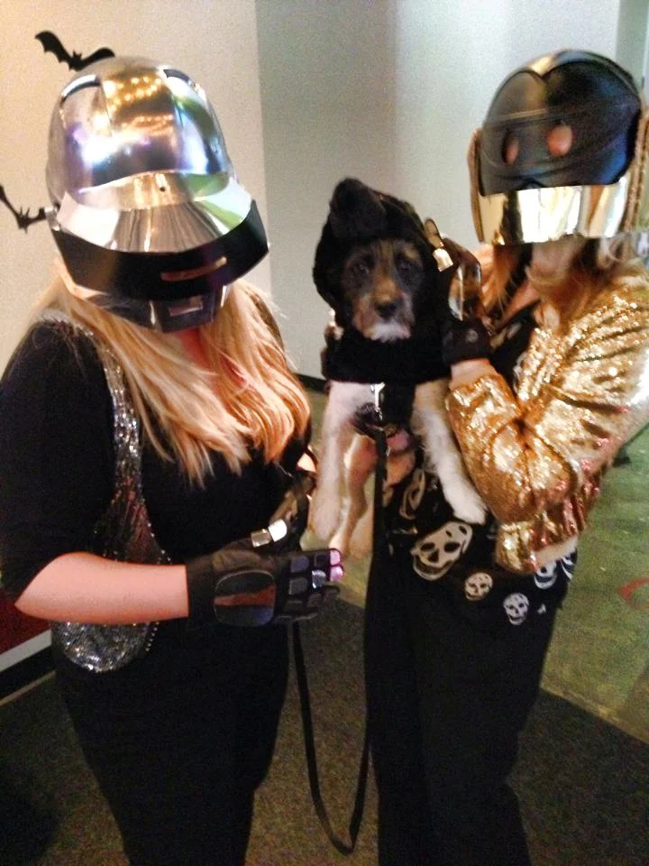 Daft Skunk, 2013