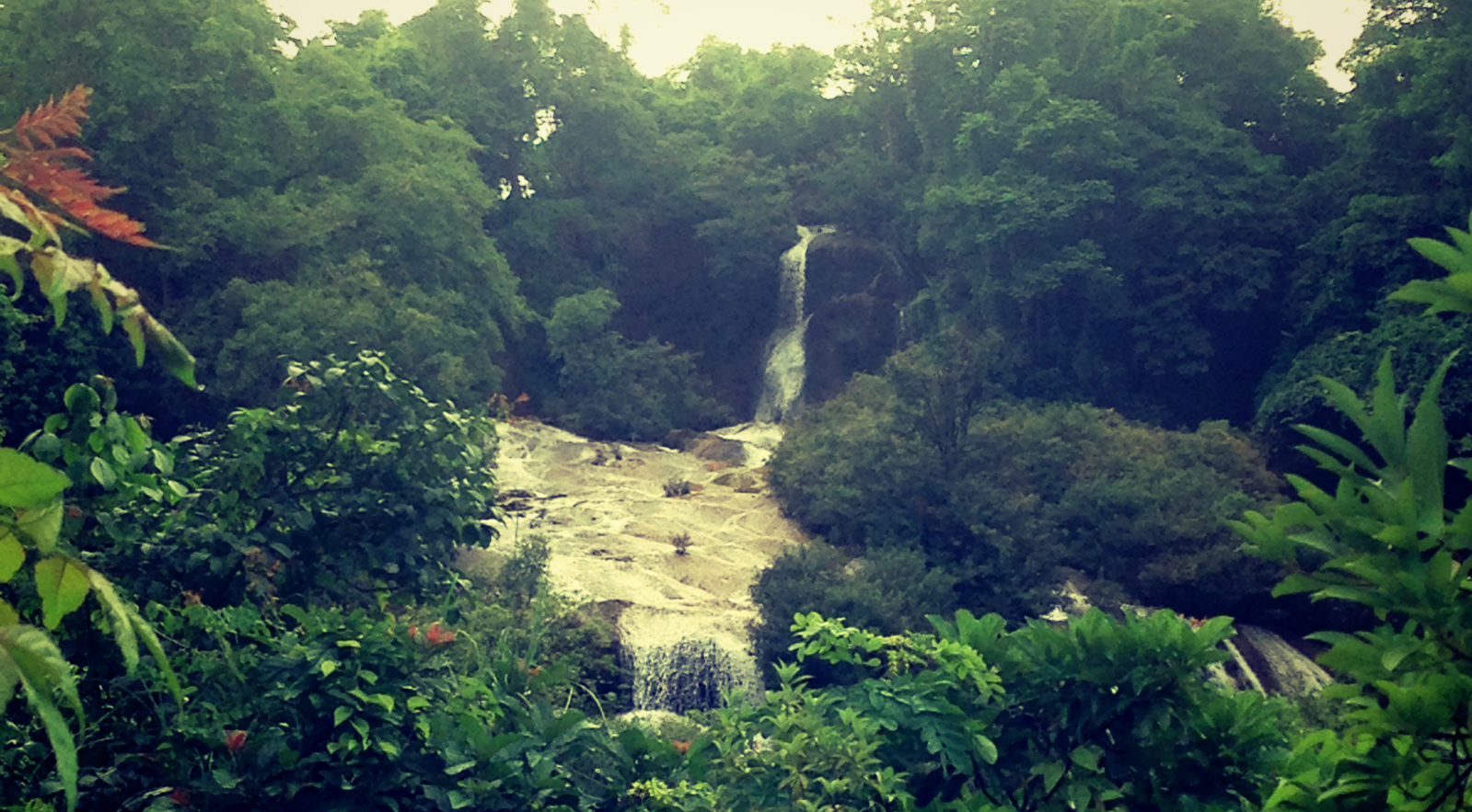 The incomplete view of dark horse Falls from above. 