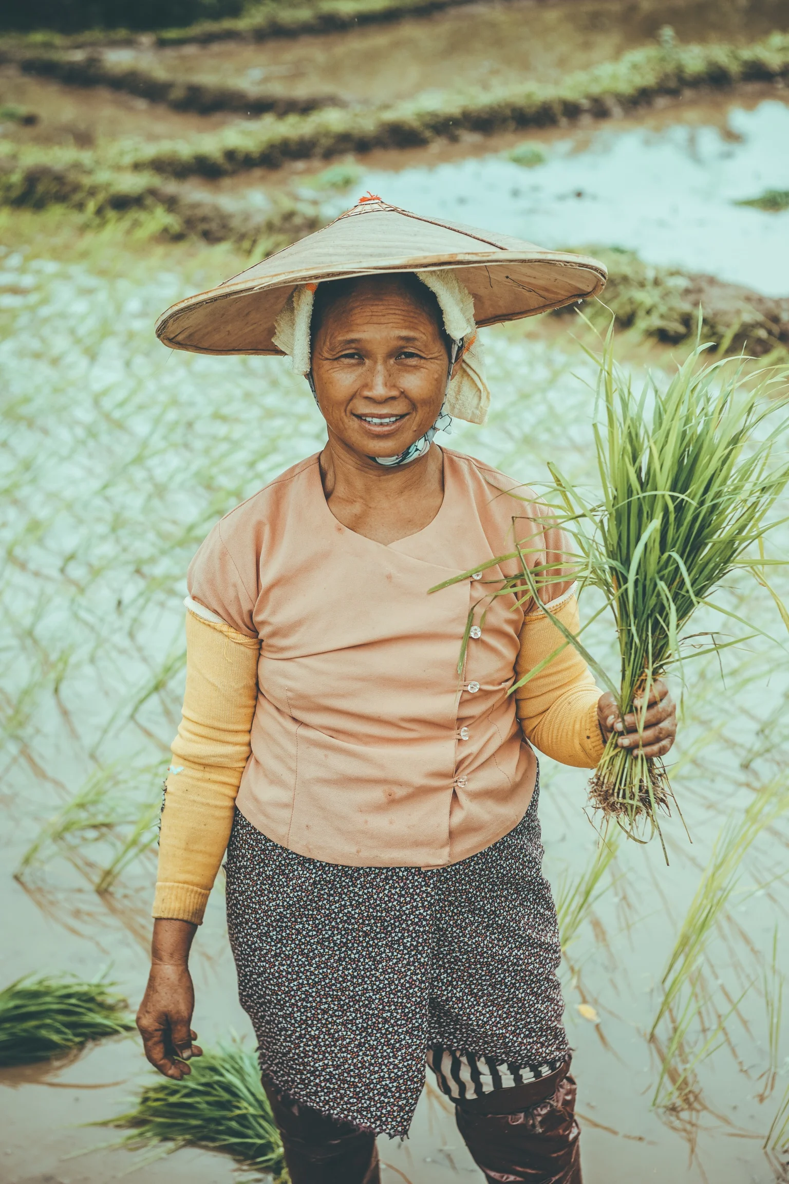 SHAN PORTRAIT OF A RICE PLANTER