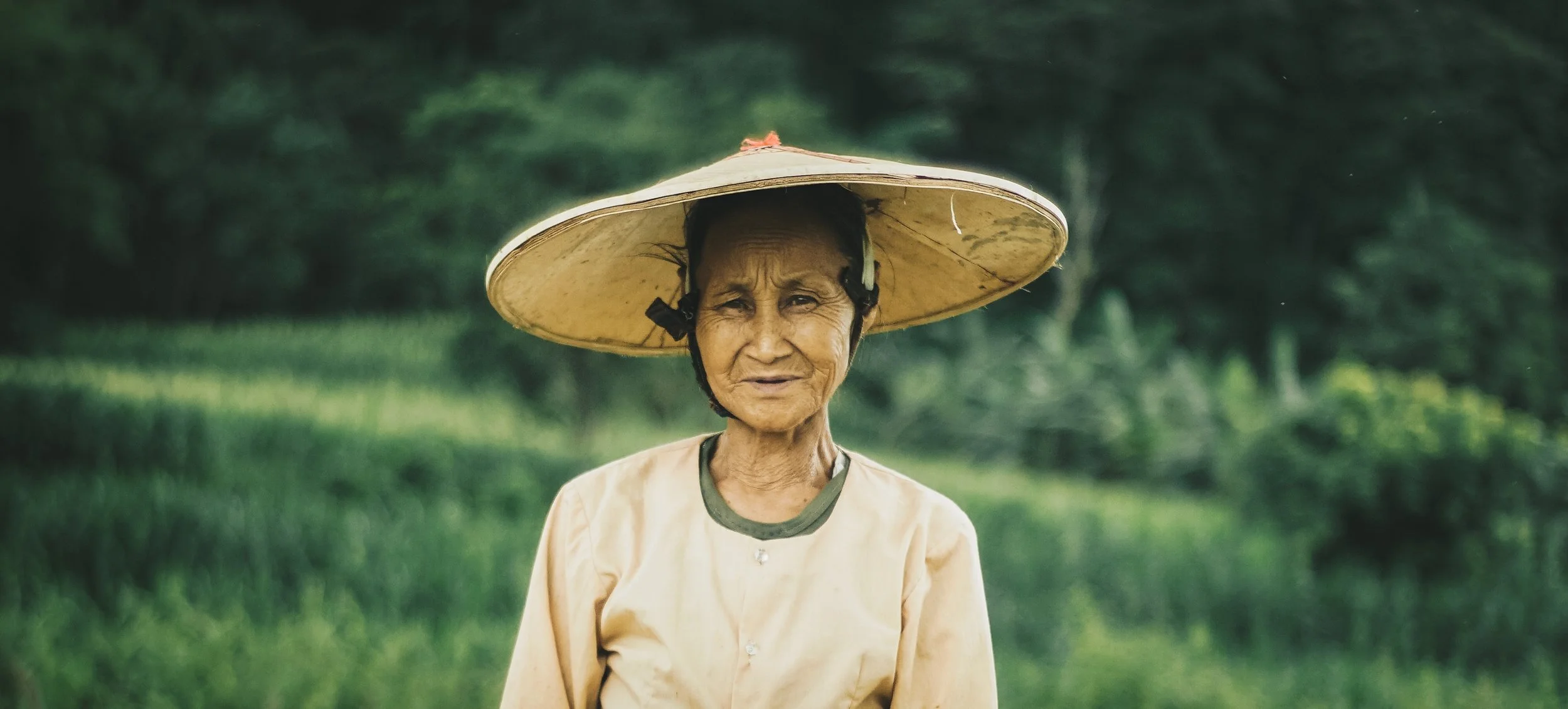 SHAN GRANDMA EXPERT RICE PLANTER