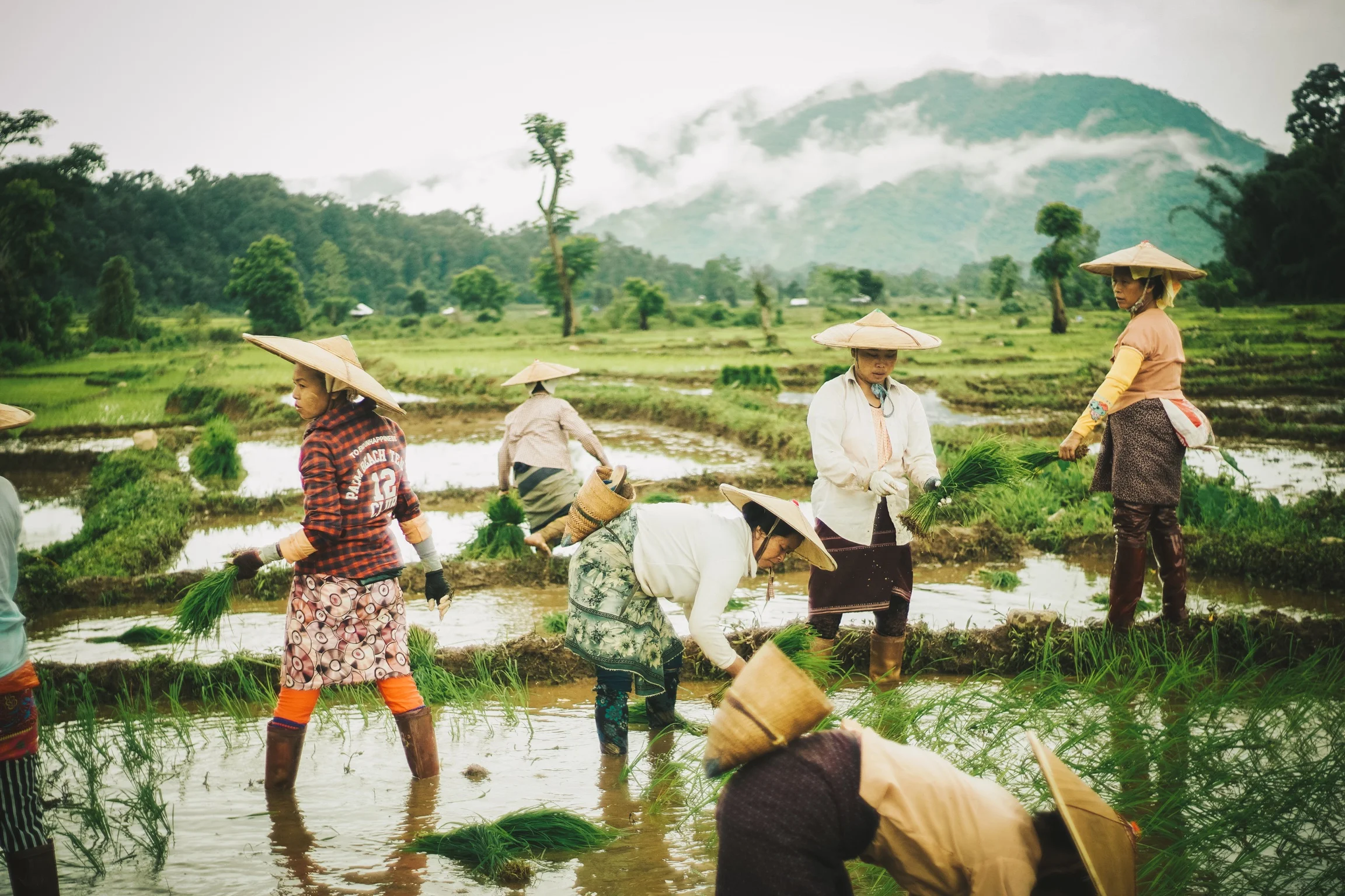 SHAN COMMUNITY WORKING TOGETHER