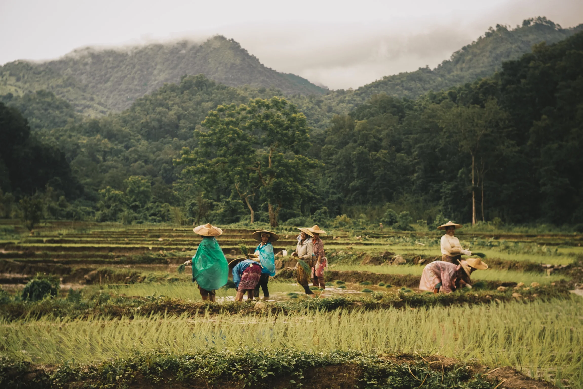 TEAMWORK NEAR LOI LENG