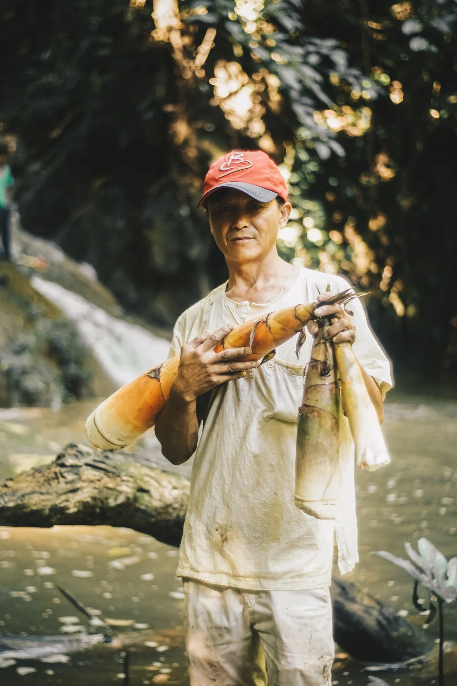 KOKANG SEEKING JUNGLE BAMBOO