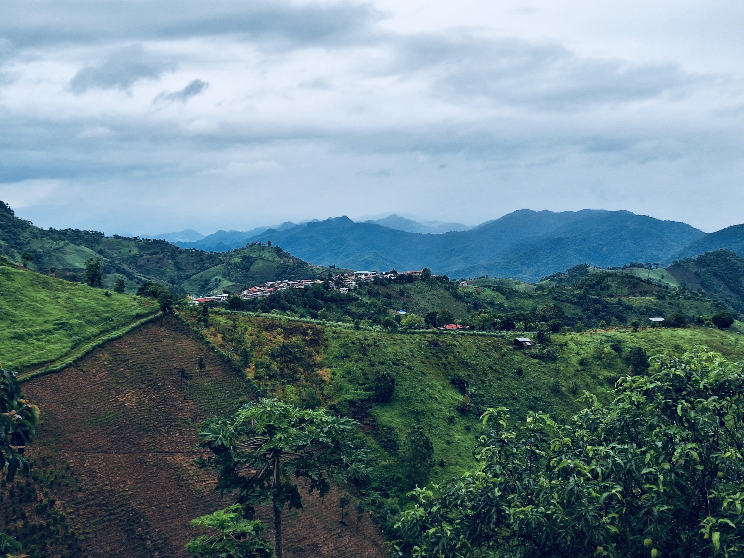 e2965b0d-20df-4165-98f7-1e499a1d0c67.jpeg